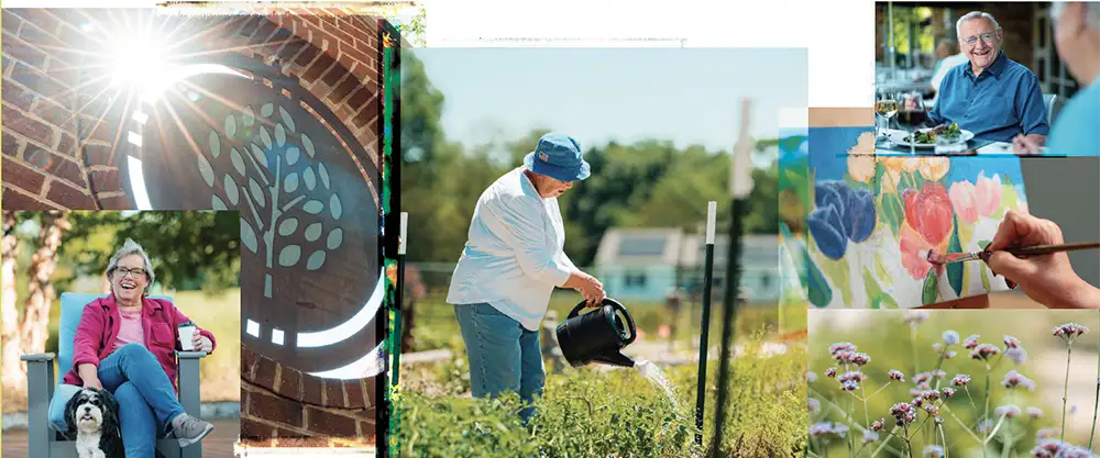 Brochure cover image